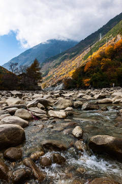 山谷 溪流