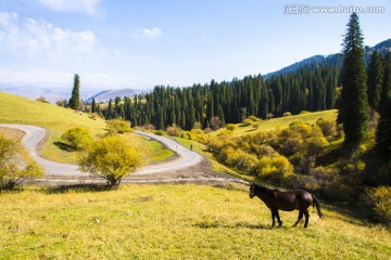 盘山公路