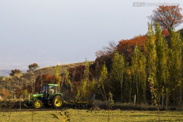 秋播   耕地