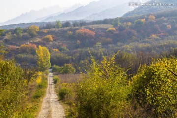 山路  土路