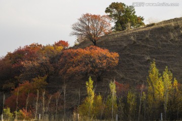 高坡 秋色