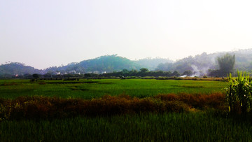 田野风景