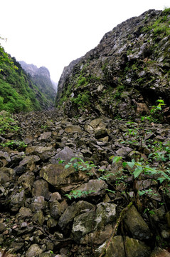 九峰山