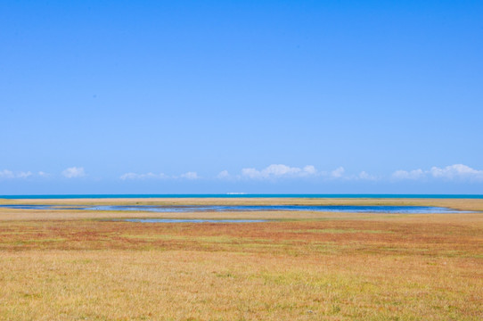 青海湖