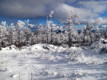 林海雪原