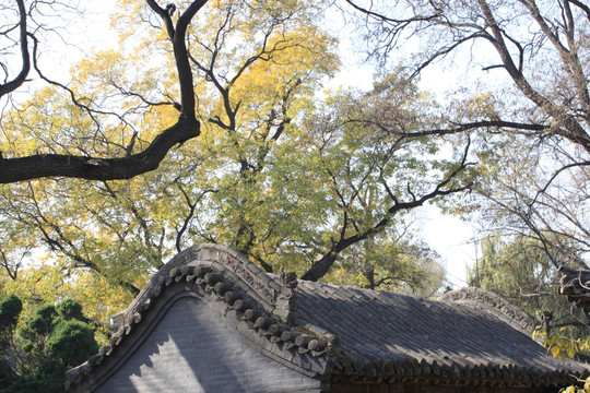 晋祠
