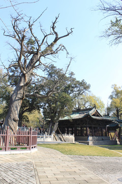 晋祠