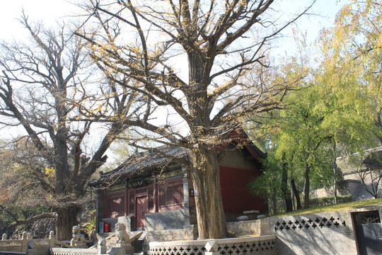 晋祠