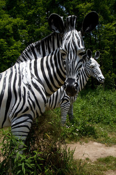 斑马 东平国家森林公园 雕塑