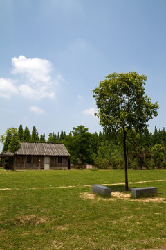 崇明岛 东平国家森林公园 户外