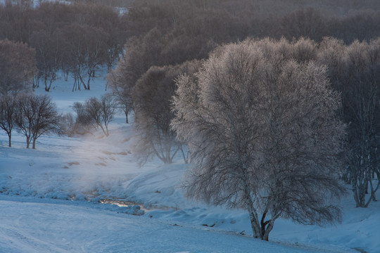 冬日雪原 晨雾 雾凇 白桦林