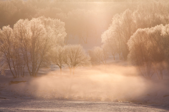 冬日雪原 晨雾 雾凇 白桦林