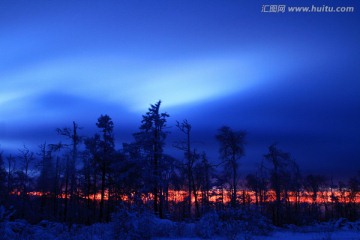 原始森林冬夜