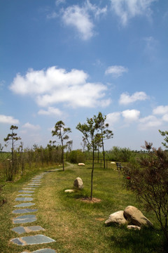 崇明东滩湿地公园 蓝天 道路