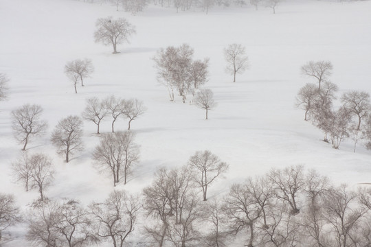 冬日雪原 暴风雪 下雪