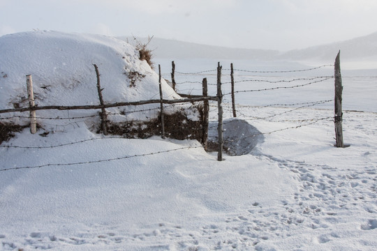 冬日雪原 暴风雪 围栏 草料堆