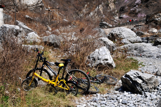 山地中的自行车
