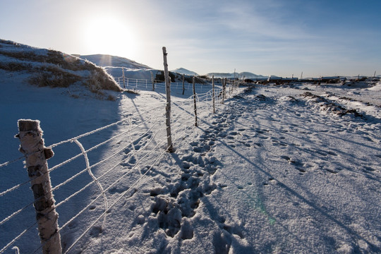 冬日雪原 围栏 铁丝网 逆光