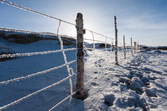 冬日雪原 围栏 铁丝网 逆光