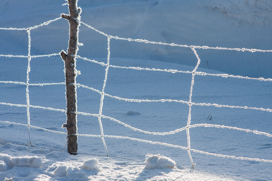 冬日雪原 围栏 铁丝网