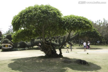 园林 景观