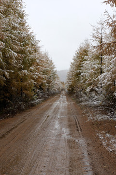 秋天的雪 公路