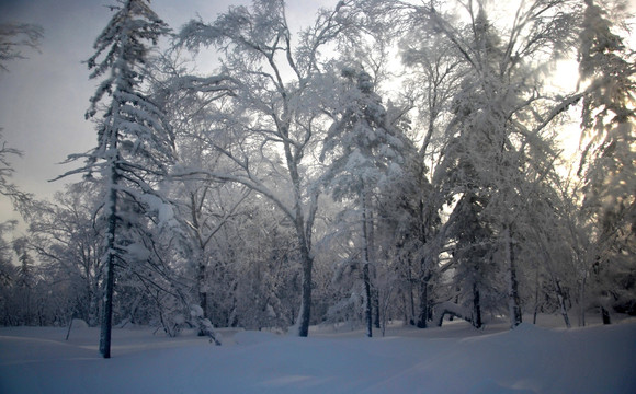 雪景