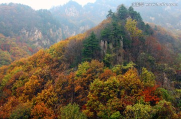 秋染伏牛山老界岭