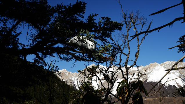 黄龙风景