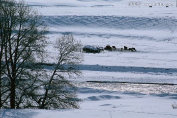 林海雪原 冬季天山 唐布拉牧场