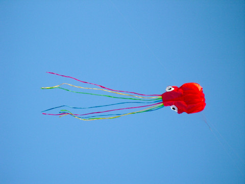 在空中飞翔的章鱼风筝