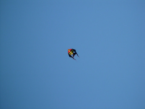 在蓝天上高高飞翔的风筝