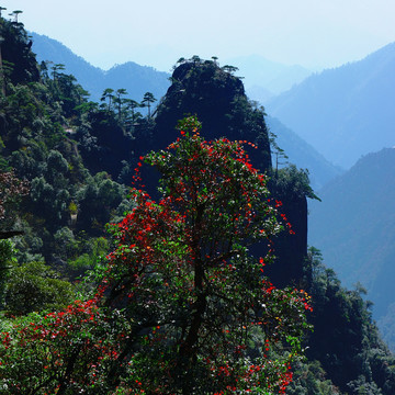 三清山风景