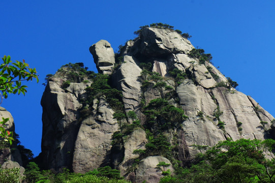 三清山风景 乌龟石