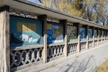 科普画廊 北京动物园
