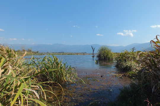 西昌 邛海湿地公园