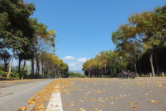 西昌 邛海湿地公园（秋色）