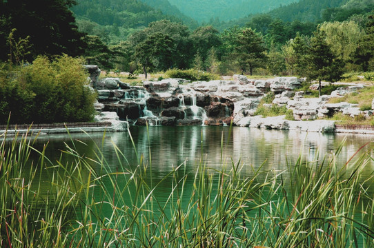 北京植物园小景