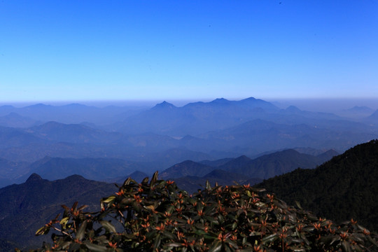 金饶山