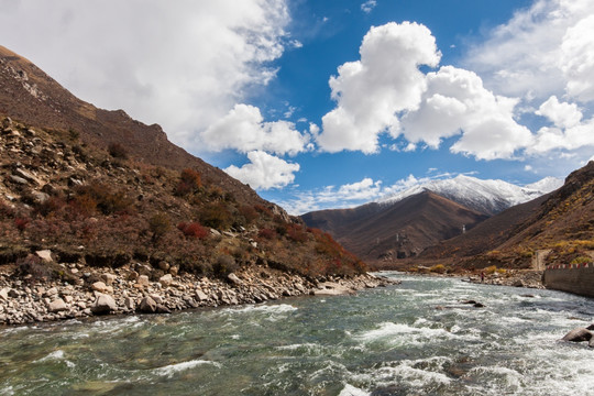 西藏秋色 拉萨河 雪山 碧绿