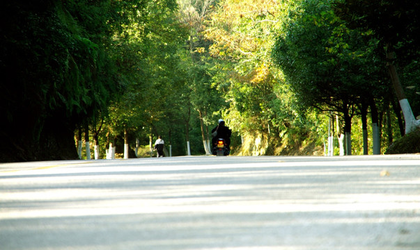 公路 背影
