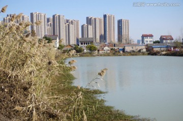 城市化的逼近