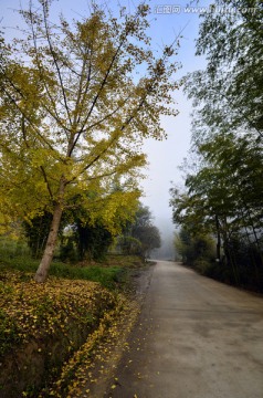 广东韶关南雄帽子峰山林马路