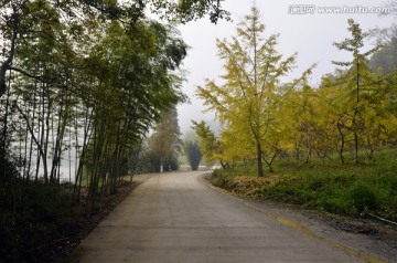 广东韶关南雄帽子峰山林马路