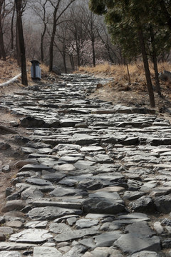 山路 爬山