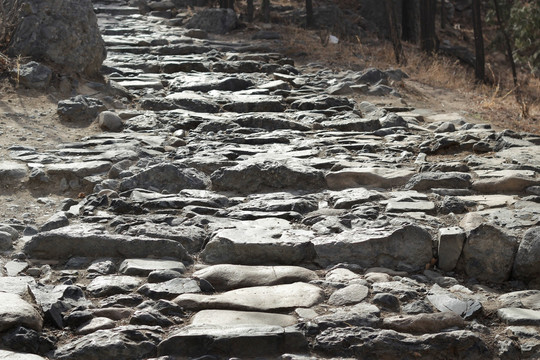 山路
