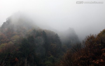 云雾笼罩的伏牛山老界岭
