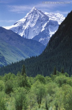 冰山冰川 雪山森林 昭苏天山