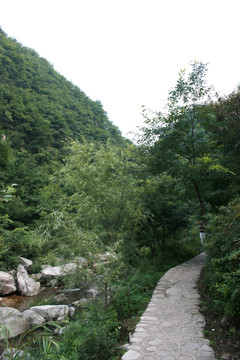 山间小路