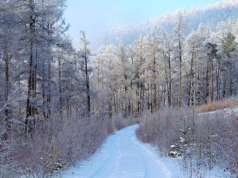 雪路